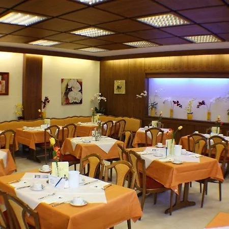 蓝鲤鱼酒店 3* Oberschleißheim