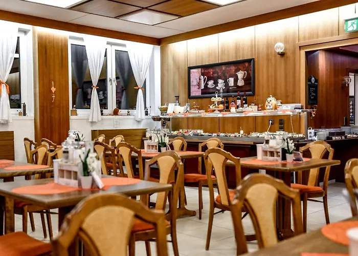 Otel Blauer Karpfen 3*