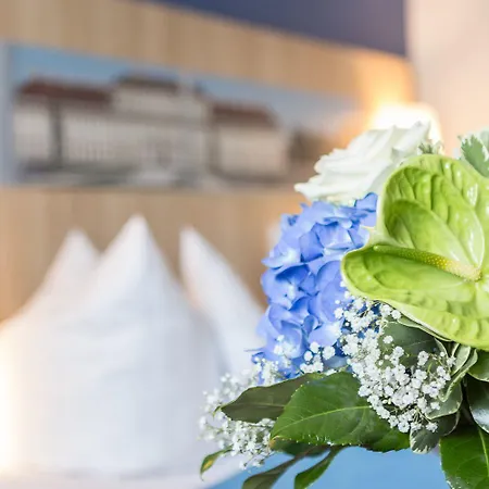 Blauer Karpfen Hotell