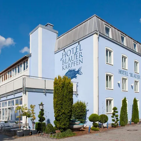Blauer Karpfen